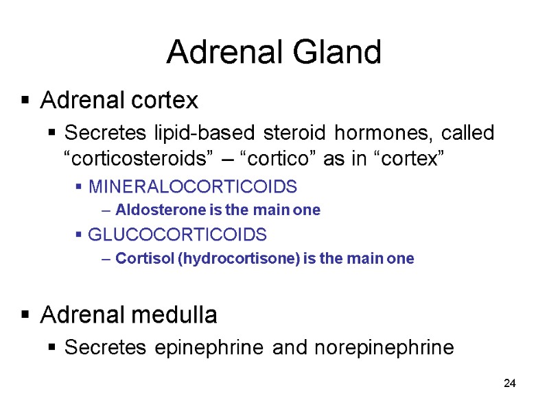 24 Adrenal Gland Adrenal cortex Secretes lipid-based steroid hormones, called “corticosteroids” – “cortico” as